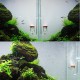 4 in 1 Acrylic U Shape Valves CO2 Diffuser Bubble Counter Aquarium Fish Tank Supplies