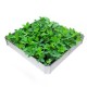 4FT Folding Raised Metal Garden Bed Vegetables Galvanised Plant Flower Pot