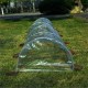 5M Long Tunnel Garden Greenhouse Adjustable Grow Protect Plants Transparent PE