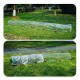 5M Long Tunnel Garden Greenhouse Adjustable Grow Protect Plants Transparent PE