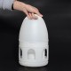 5L Removable White Plastic Automatic Drinker Water Feeder Dispenser Automatic Waterer Pigeons Birds