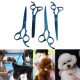 6Pcs Set PetT Dog Hair Cutting Plating Scissors Grooming set Curved Professional Hair Scissors Tool