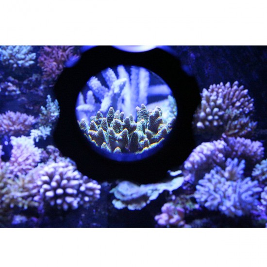 Aquarium Magnetic Fish Tank Glass Cleaner Scraper Magnifier Up to 15mm