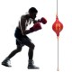 Double End Speed Ball Boxing Punching Bag Speedball Swivel Gym Fitness Training