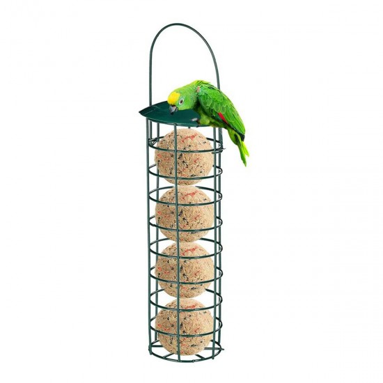 Outdoor Bird Feeder