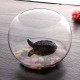 Round Clear Glass Vase Fish Tank Ball Bowl Flower Planter Terrarium Home Decor
