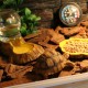 Wooden Reptile Vivarium Terrariums Heating Cage Lizard Turtle Breeding Housing Decorations