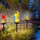 Solar Powered LED Parrot Lawn Light Waterproof Garden Landscape Lamp Outdoor Decor