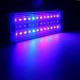 A201M 12W 20CM 5730 36SMD 1400LM LED Coral SPS LPS Aquarium Sea Reef Fish Tank Light Lamp