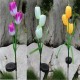 2V Solar Power Mult Tulip Flower Garden Stake Landscape Lamp Outdoor Yard LED Light for Home