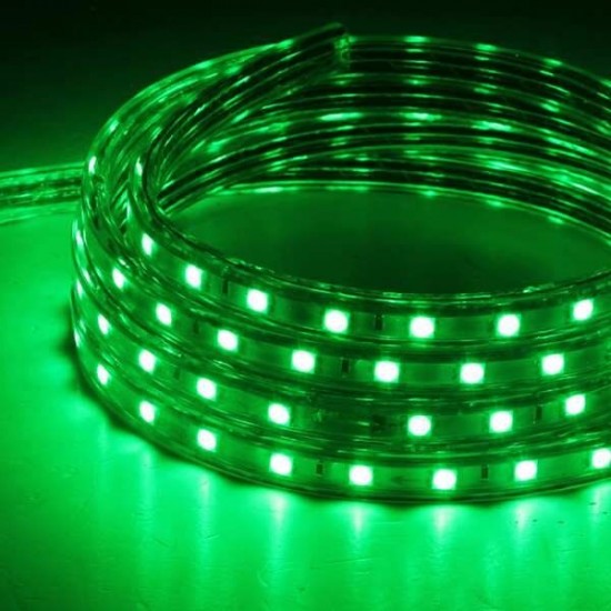 1M 5050 Waterproof IP67 Flexible Led Strip Light For XMAS Home Decor 110V