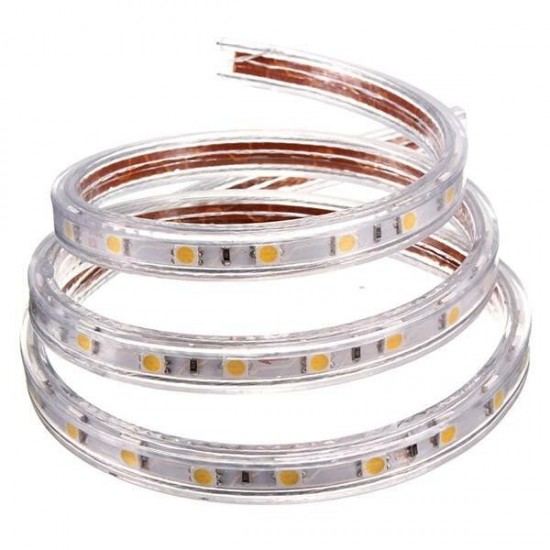 1M 5050 Waterproof IP67 Flexible Led Strip Light For XMAS Home Decor 110V