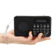 Portable FM 87.5-108MHZ 4.2V 4Ω Radio TF SD Card AUX Loop Play Speaker MP3 Music Player