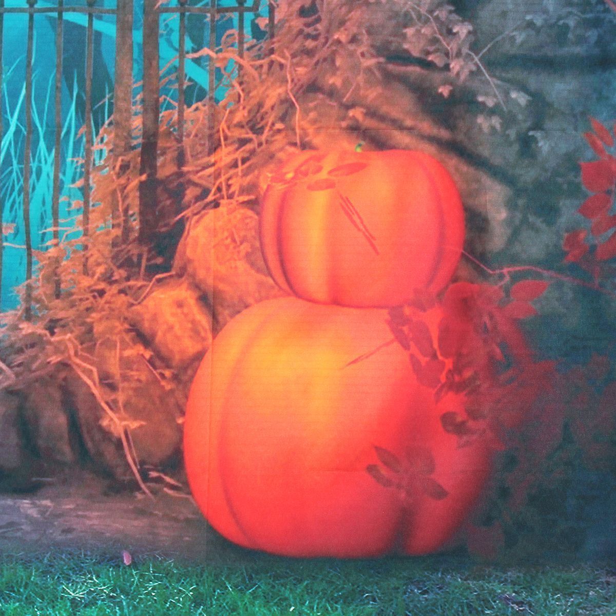 3x5FT-5x7FT-Vinyl-Halloween-Pumpkin-Bat-Photography-Backdrop-Background-Studio-Prop-1348230