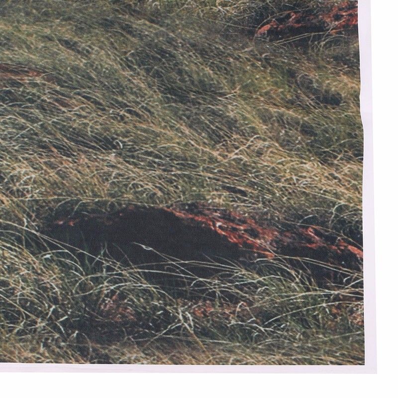 5x7FT-Vinyl-Wood-Window-Sunshine-Photography-Backdrop-Background-Studio-Prop-1387507
