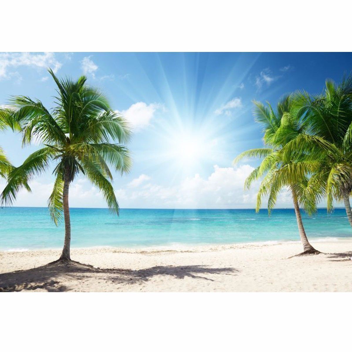 Vinyl-Background-Cloth-Photography-Palm-Beach-Sunshine-Studio-Backdrop-1130353