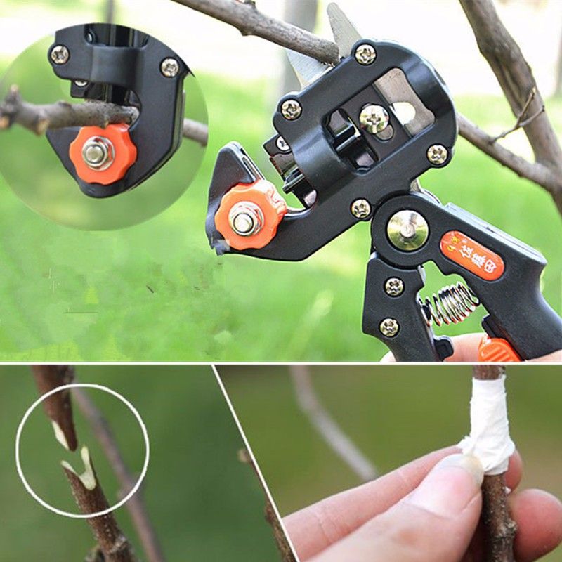 Carbon-Steel-Fruit-Tree-Pro-Pruning-Shears-Scissor-Grafting-Cutting-Tools-Set-1137762