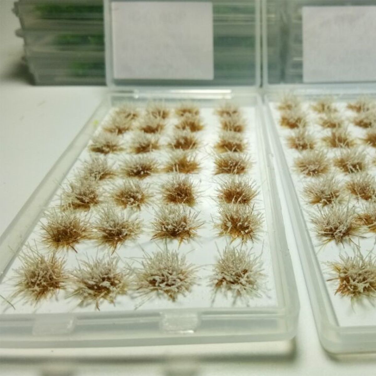 28pcsSet-DIY-Mini-Scenery-Snowy-Grass-Clusters-Ciniature-Model-Scale-Decorations-1646786