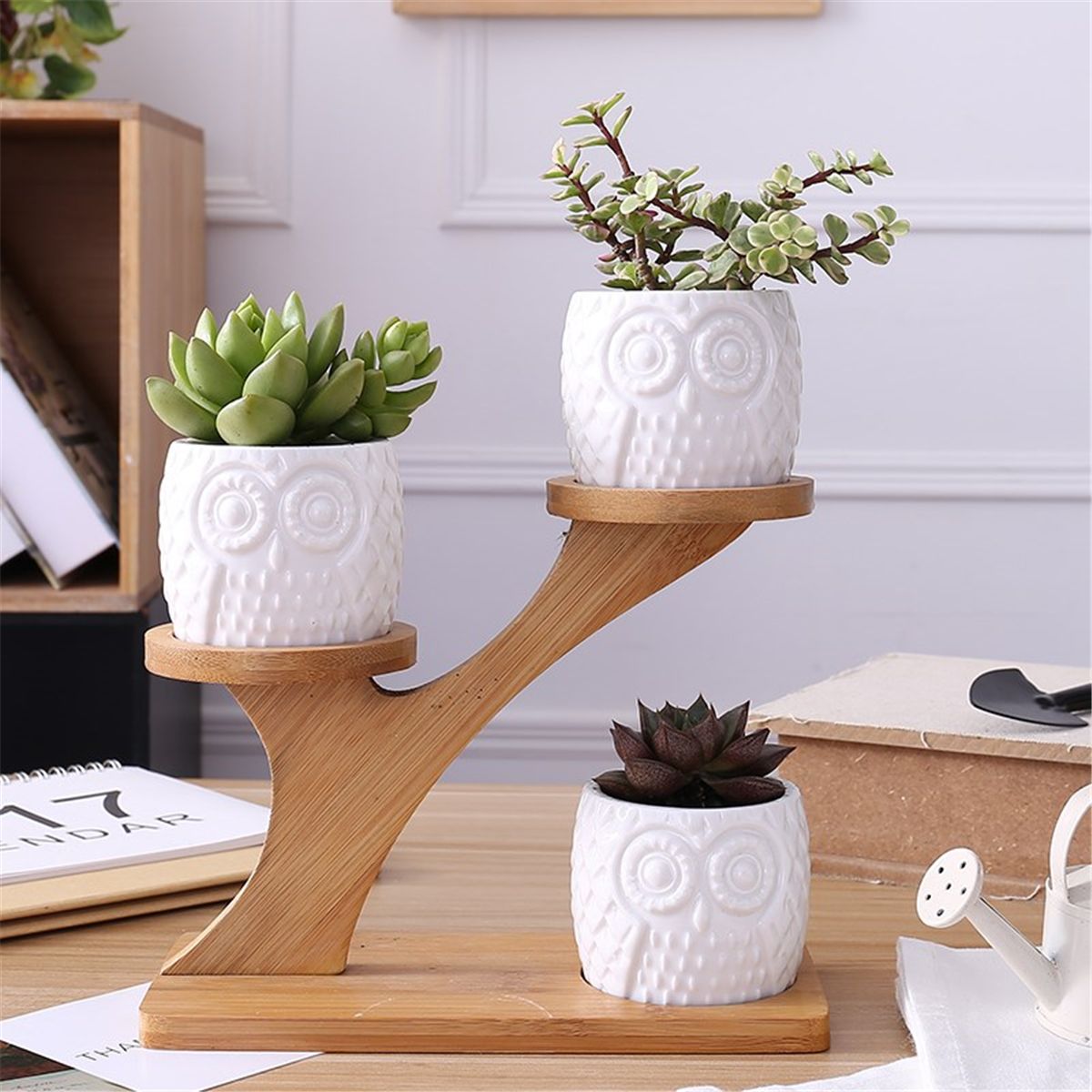 3Pcs-Owl-Succulent-Pot-Ceramic-Garden-Flower-Planter-Holder-Bamboo-Stand-Sets-1493607