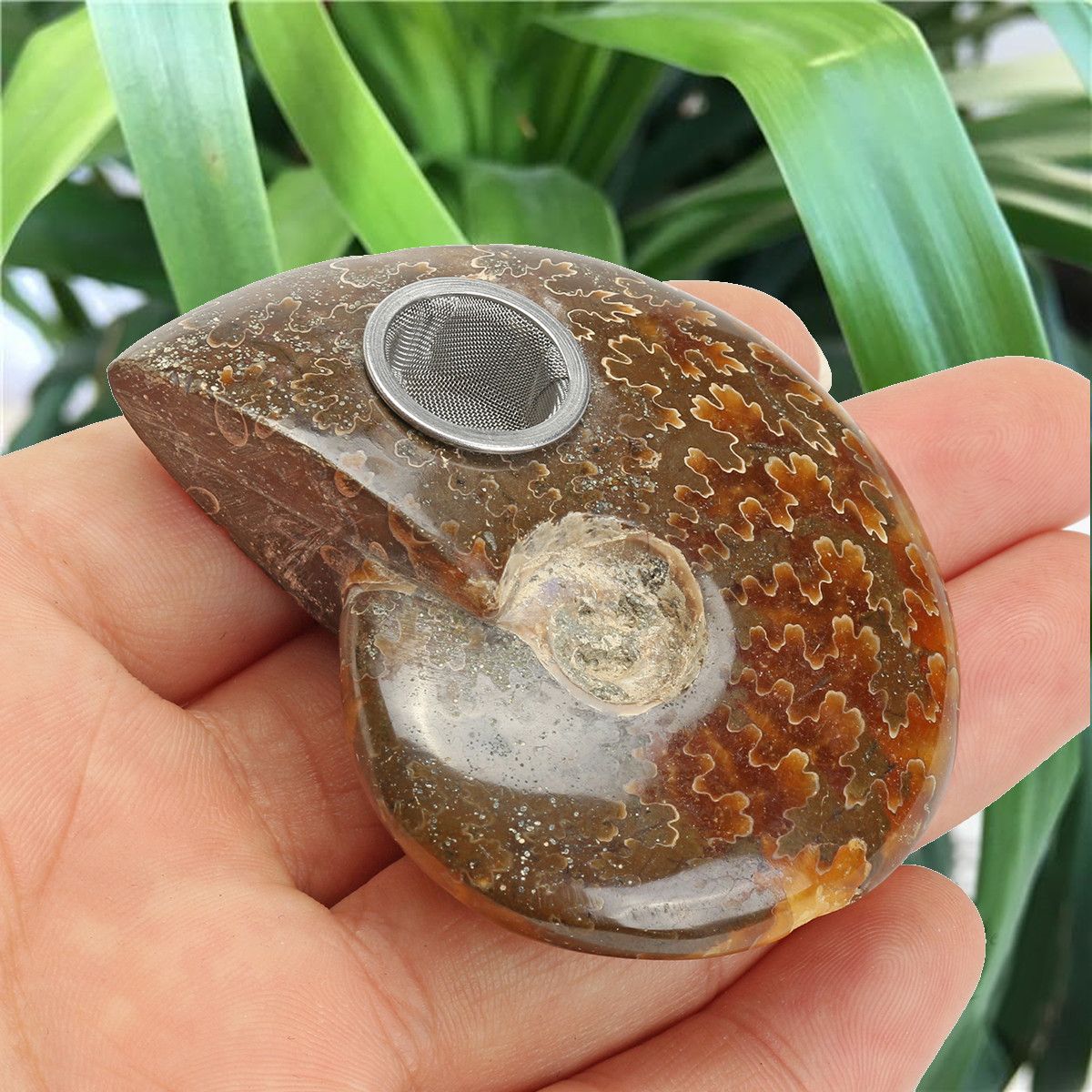 65MM-Natural-Ammonite-Fossil-Quartz-Crystal-Stone-Pipe-Healing-With-Carb-Gifts-Decorations-1564271