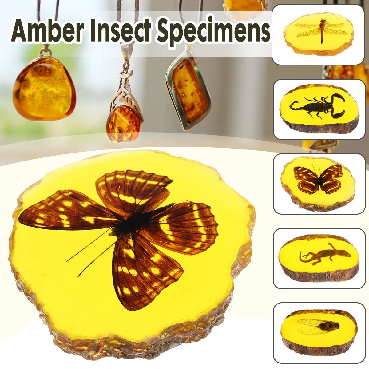 Amber-Fossil-Insects-Dragonfly-Manual-Polishing-Insect-Specimen-Pendant-Craft-Decorations-1531136