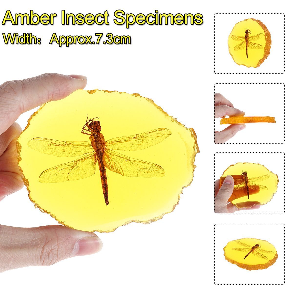 Amber-Fossil-Insects-Dragonfly-Manual-Polishing-Insect-Specimen-Pendant-Craft-Decorations-1531136