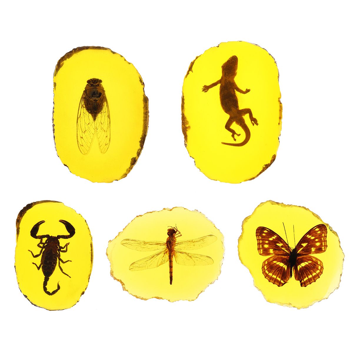 Amber-Fossil-Insects-Dragonfly-Manual-Polishing-Insect-Specimen-Pendant-Craft-Decorations-1531136