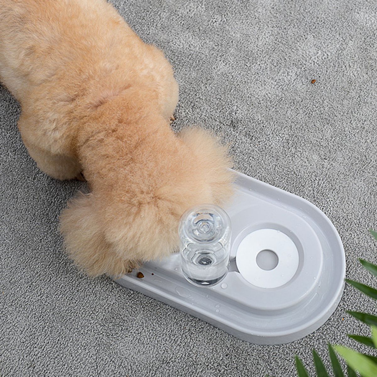 Automatic-Pet-Dog-Cat-Drink-Water-Dispenser-Feeder-Food-Bowl-Dish-1570762