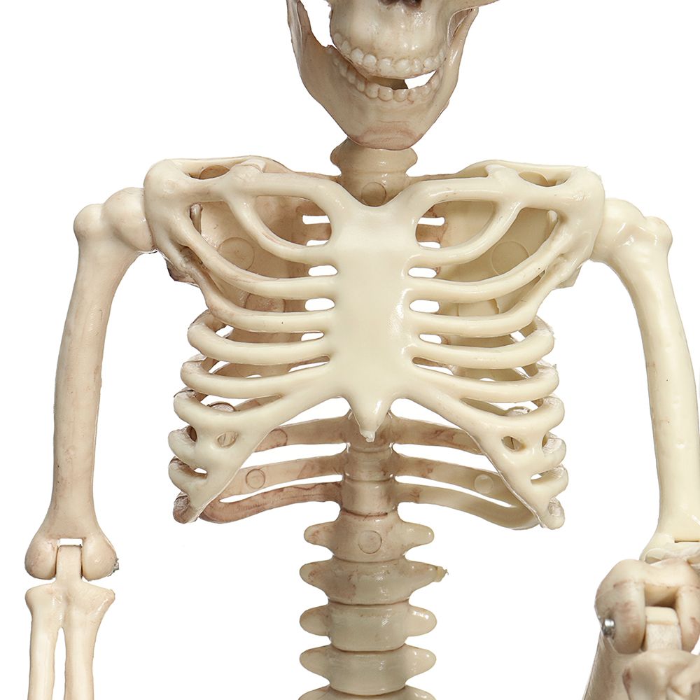 Creepy-Human-Skeleton-Skull-Figurine-Scary-Halloween-Skeleton-Prop-Party-Decorations-1346526