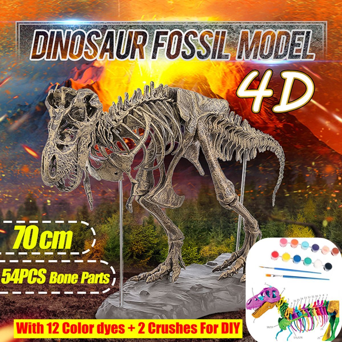 DIY-Colour-70Cm-T-Rex-Tyrannosaurus-Rex-Skeleton-Dinosaur-Animal-Collector-Model-Decorations-1564357