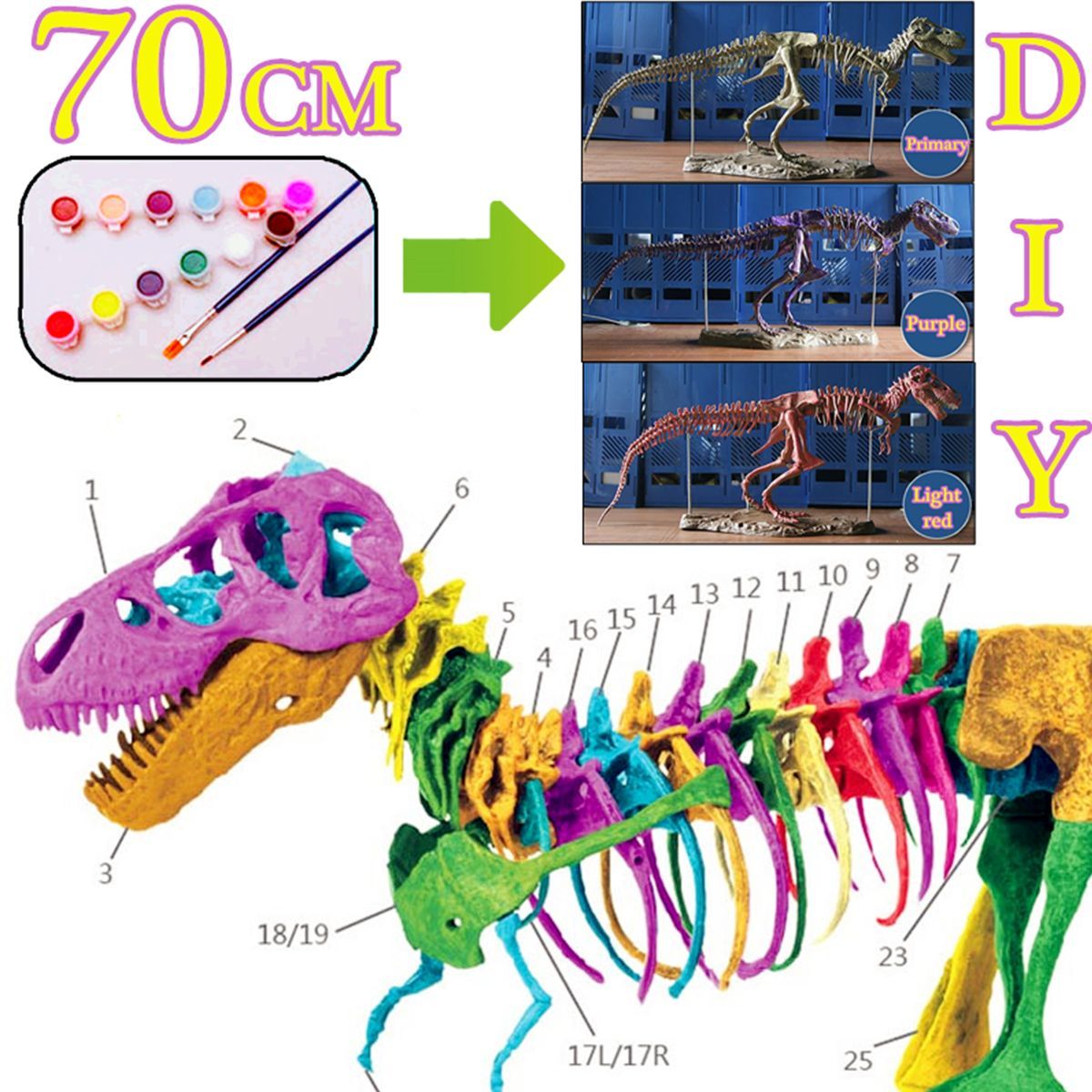 DIY-Colour-70Cm-T-Rex-Tyrannosaurus-Rex-Skeleton-Dinosaur-Animal-Collector-Model-Decorations-1564357