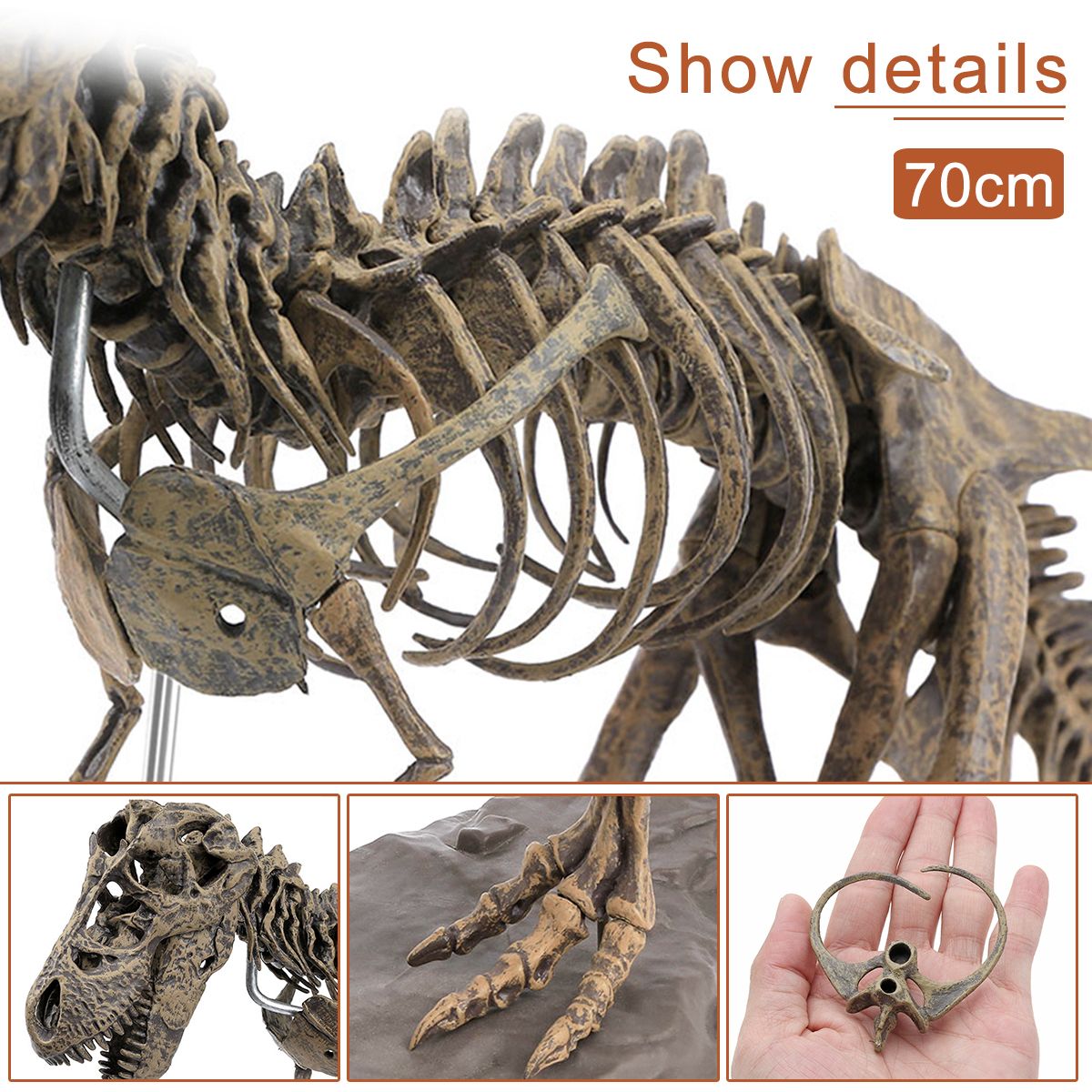 DIY-Colour-70Cm-T-Rex-Tyrannosaurus-Rex-Skeleton-Dinosaur-Animal-Collector-Model-Decorations-1564357