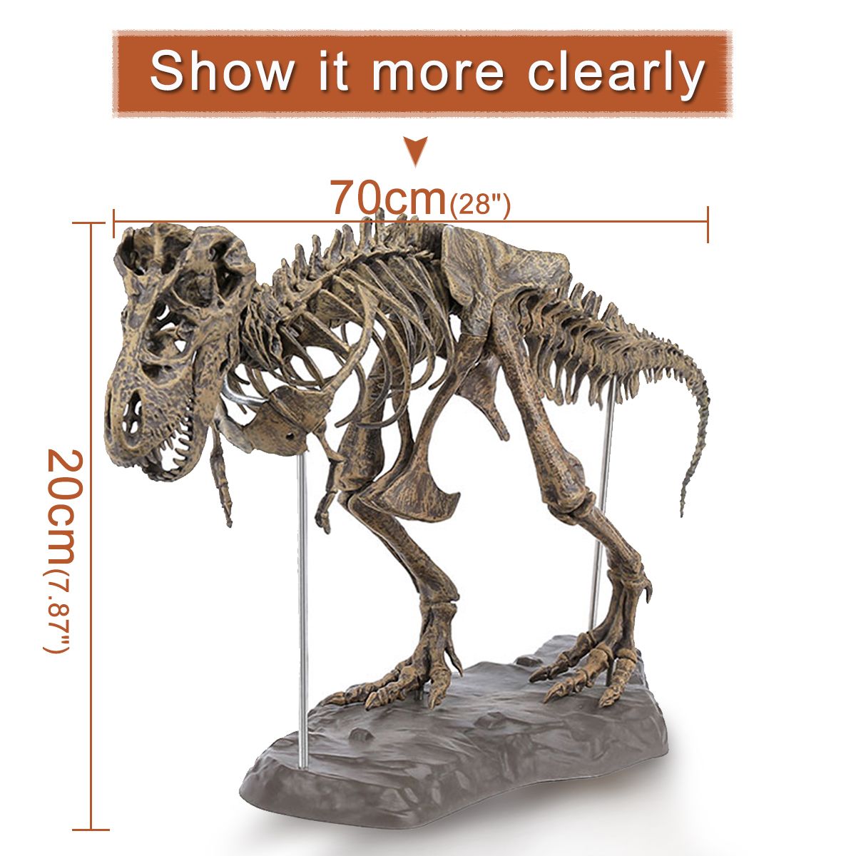 DIY-Colour-70Cm-T-Rex-Tyrannosaurus-Rex-Skeleton-Dinosaur-Animal-Collector-Model-Decorations-1564357