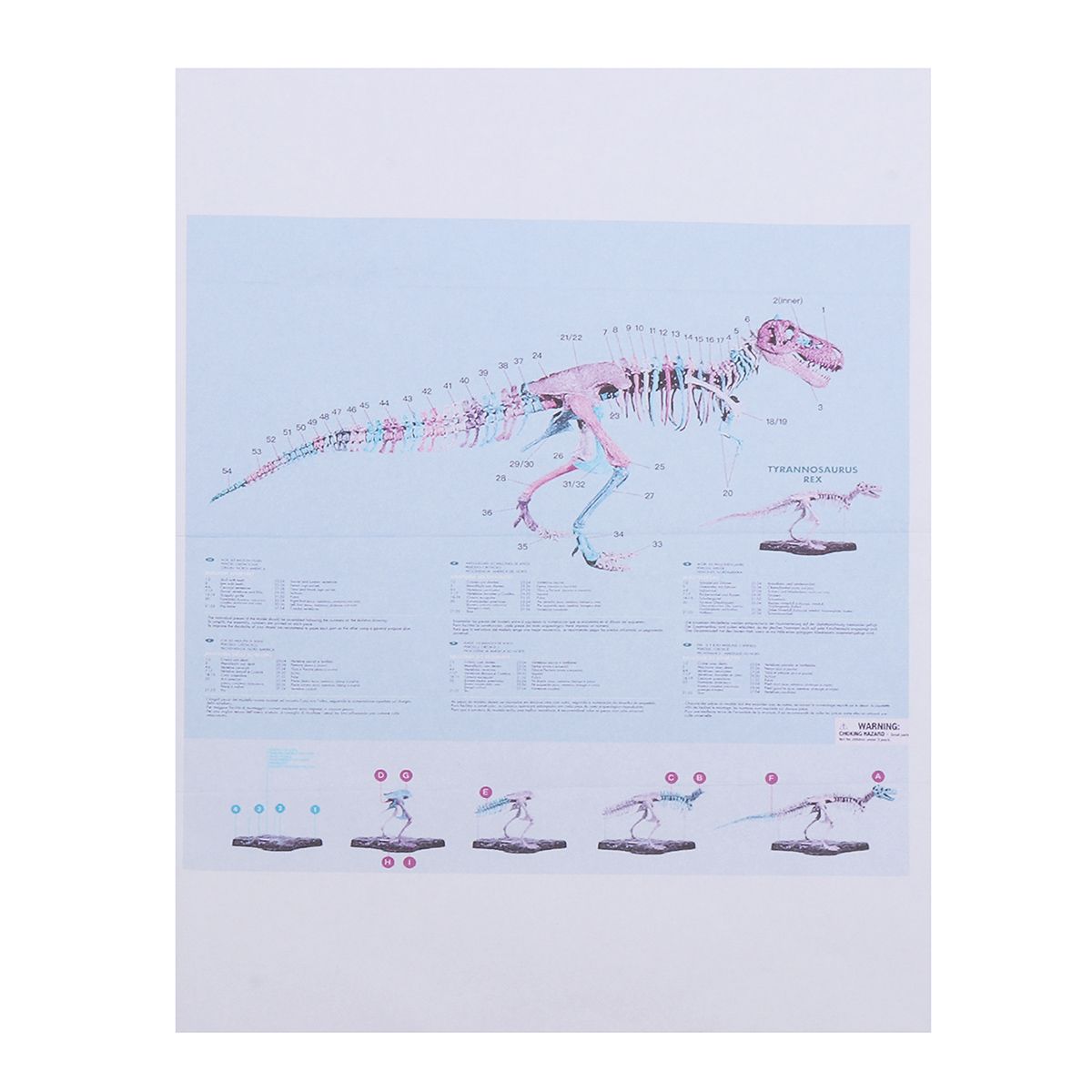 DIY-Colour-70Cm-T-Rex-Tyrannosaurus-Rex-Skeleton-Dinosaur-Animal-Collector-Model-Decorations-1564357