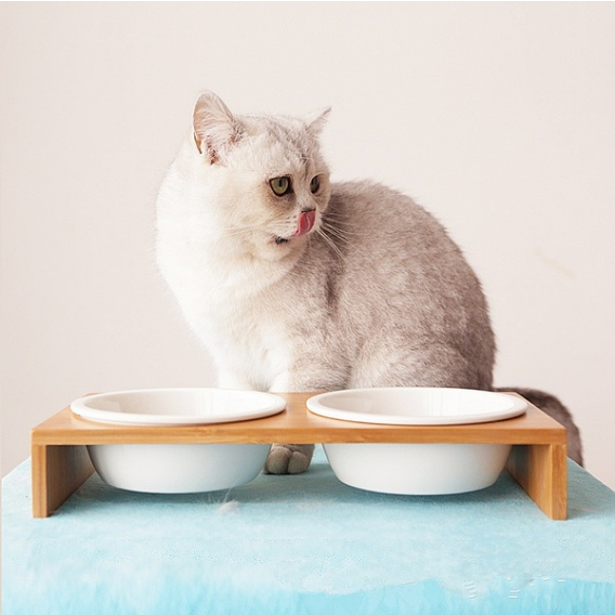 Elevated-Dog-Cat-Bamboo-Pet-Feeder-Ceramic-Bowl-Raised-Stand-3-Sizes-Durable-1557252