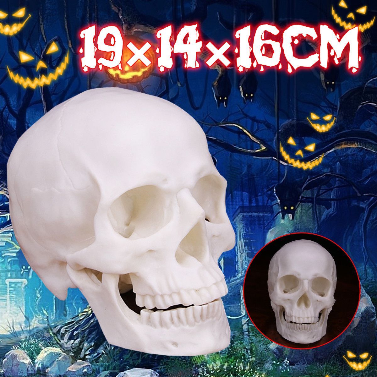 Human-Skull-Handmade-Decoration-Goth-Halloween-Decor-Gift-Souvenirs-Ornament-1713657