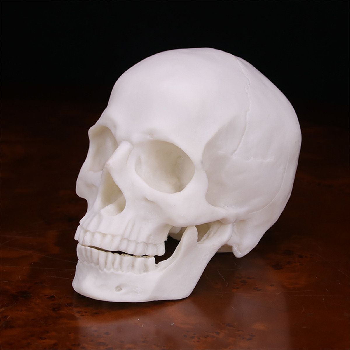 Human-Skull-Handmade-Decoration-Goth-Halloween-Decor-Gift-Souvenirs-Ornament-1713657