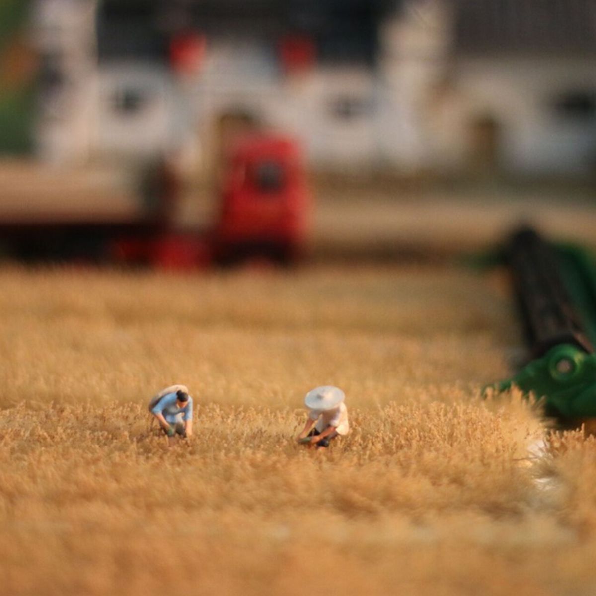 Mini-Rice-Field-Grass-Model-Scenario-Train-Sand-Table-DIY-Modelling-Materials-Decorations-1653267