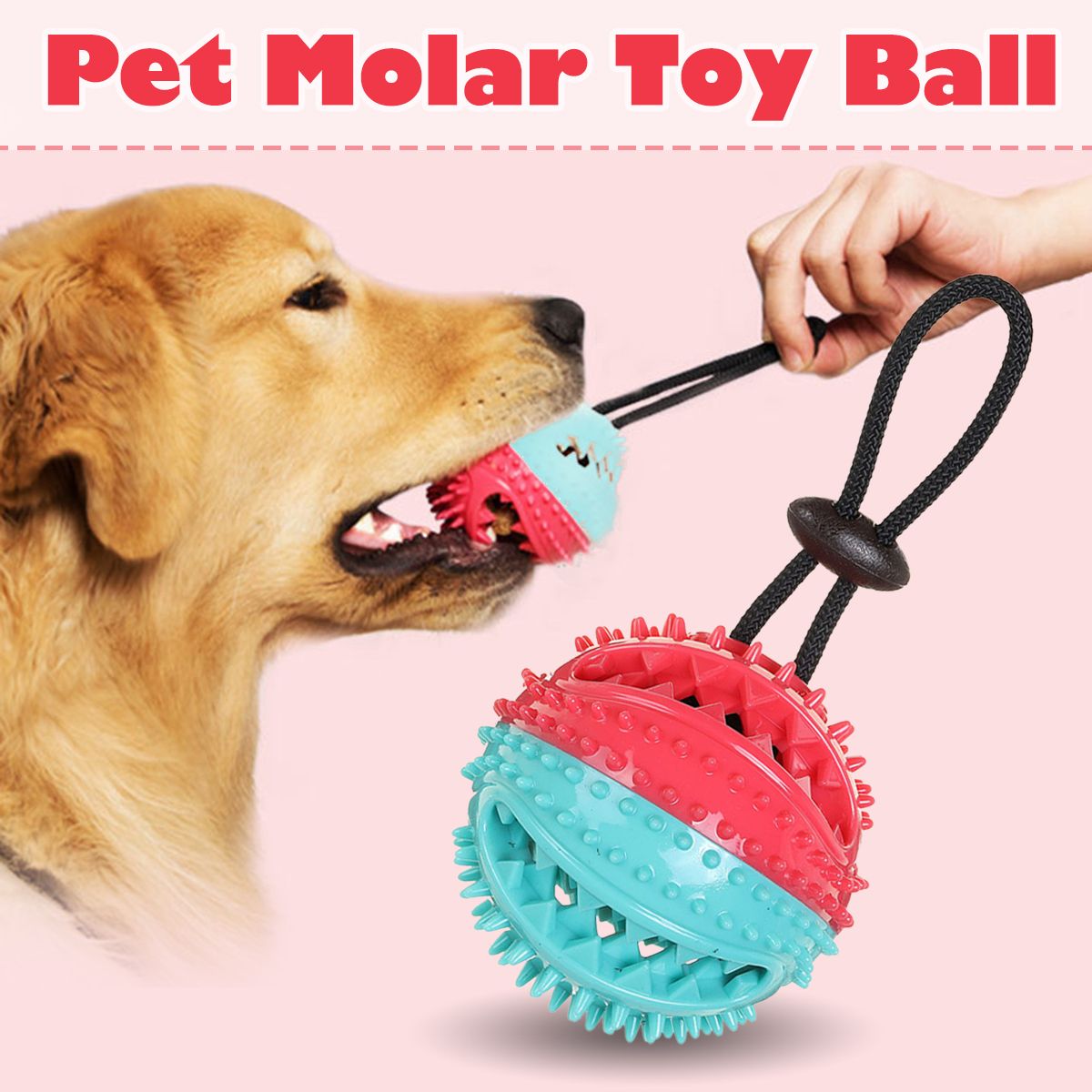 Pet-Molar-Bite-Toy-Dog-Ball-Chew-Toys-Pet-Tooth-Cleaning-Built-in-Sound-Toys-1638916