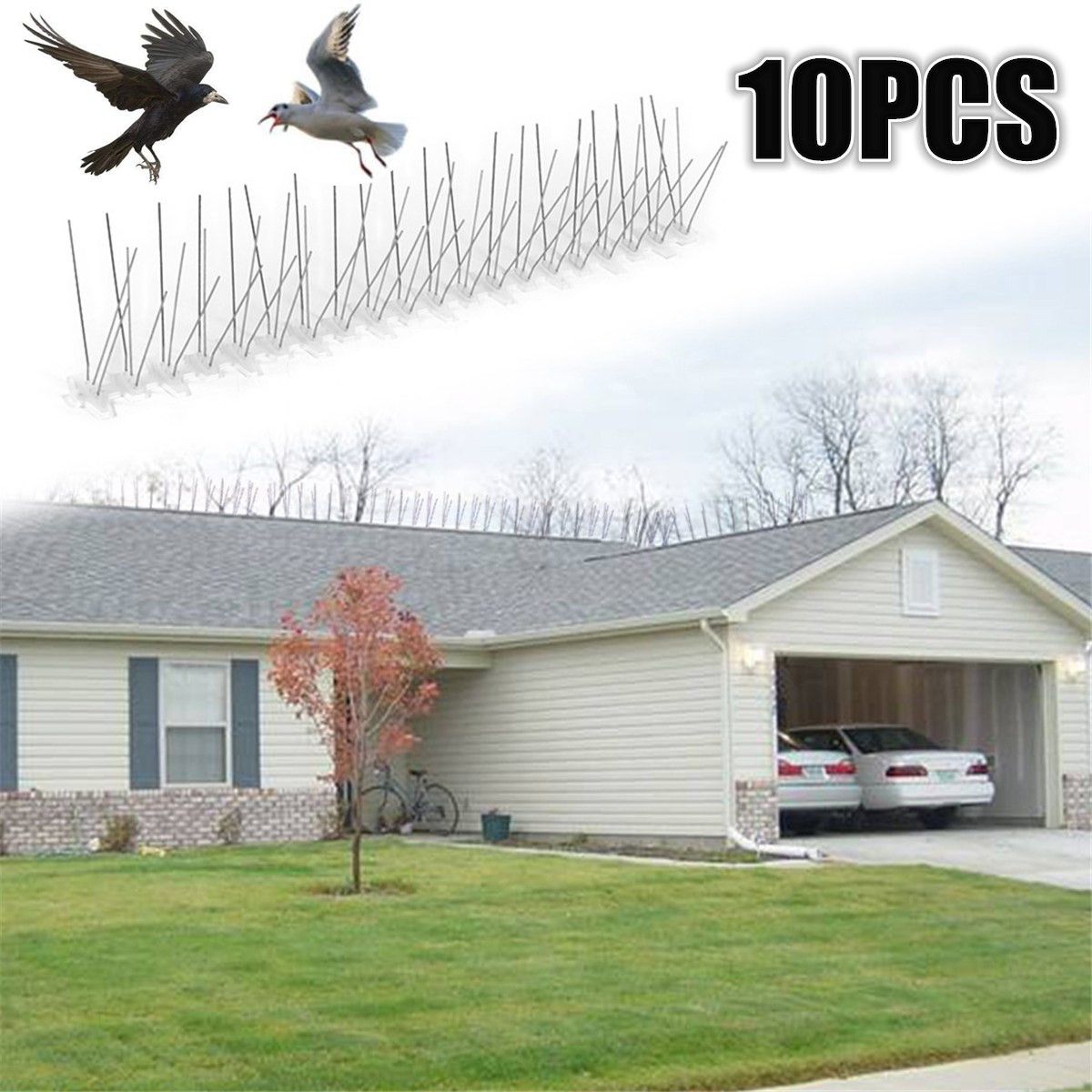 10pcs-30cm-Stainless-Steel-Bird-Spikes-Pigeon-Deterrent-Home-Gardening-Repellent-1709179