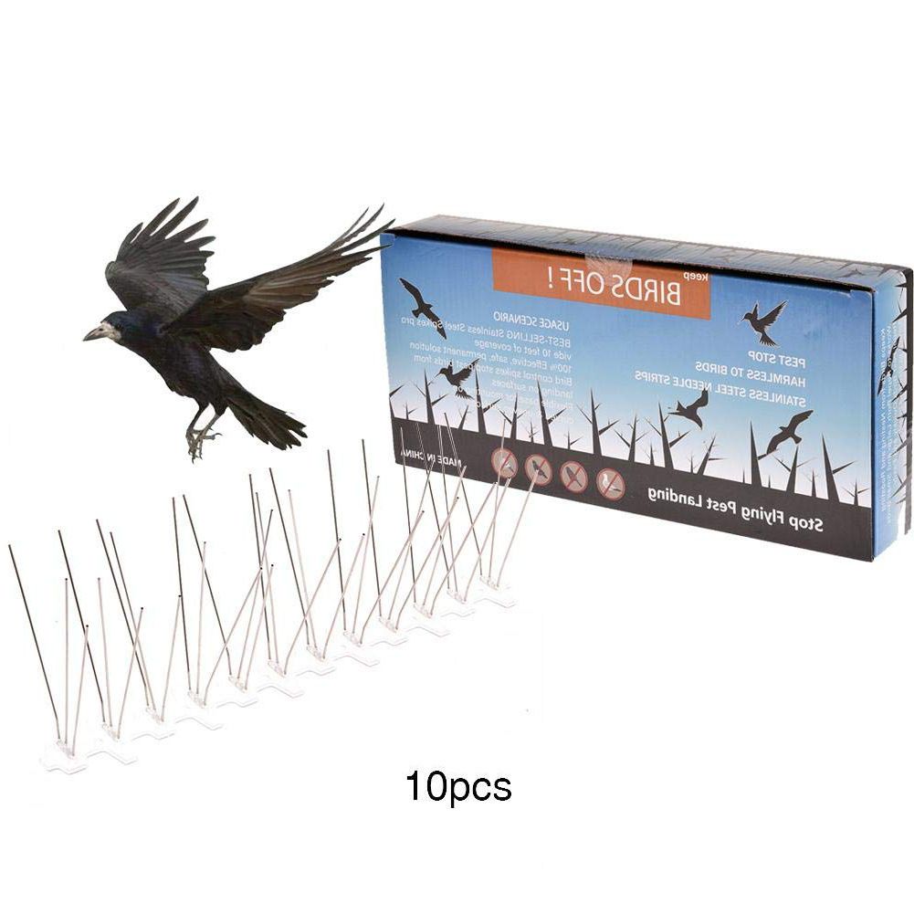 10pcs-30cm-Stainless-Steel-Bird-Spikes-Pigeon-Deterrent-Home-Gardening-Repellent-1709179