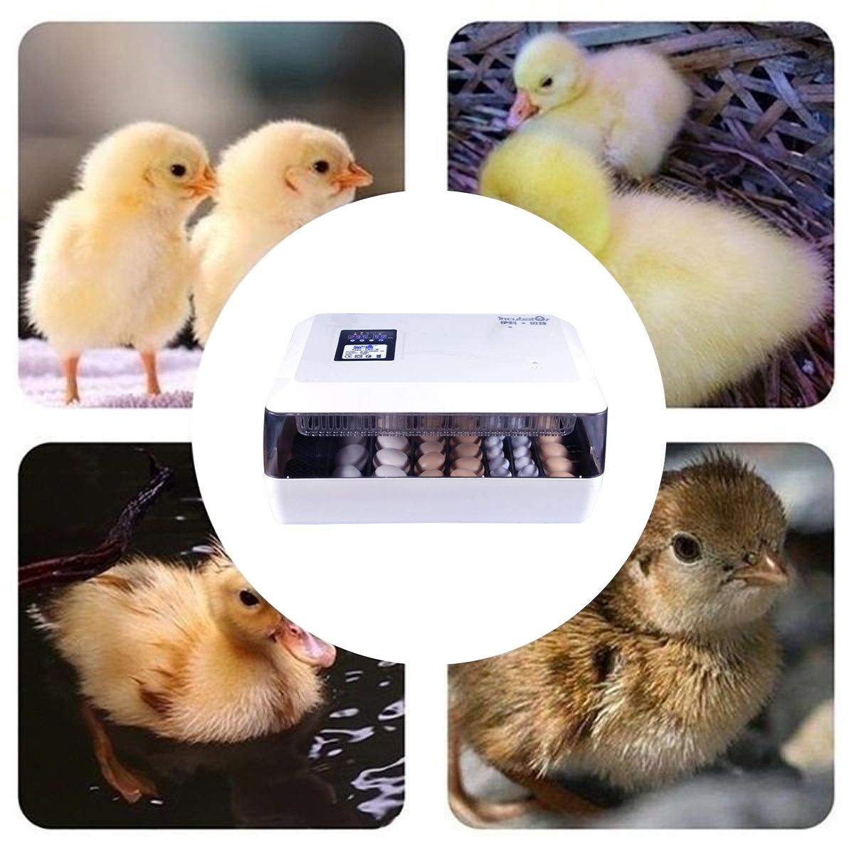 220V12V-Eggs-Incubator-60-Eggs-Automatic-Incubatores-for-Hatching-Goose-Quail-Chicken-Eggs-Egg-Hatch-1699591