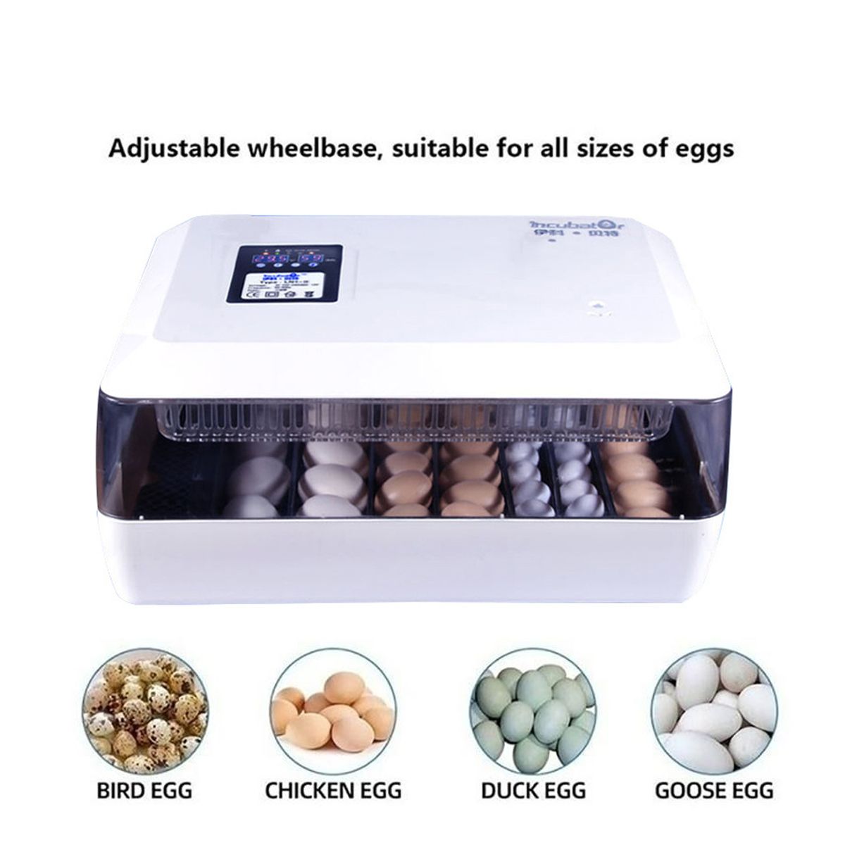 220V12V-Eggs-Incubator-60-Eggs-Automatic-Incubatores-for-Hatching-Goose-Quail-Chicken-Eggs-Egg-Hatch-1699591