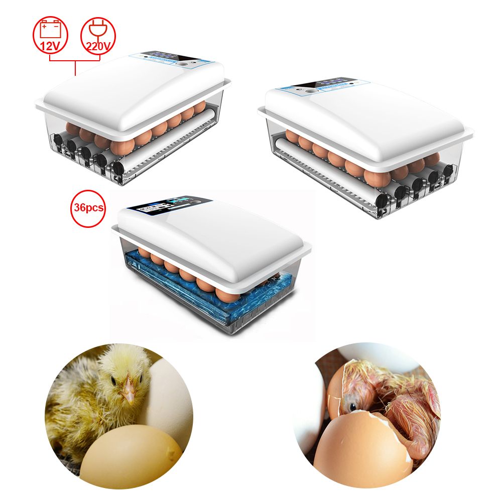 24Egg-Turning-Incubators-Bird-Chicken-Duck-Poultry-Hatcher-wTemperature-Control-1719575