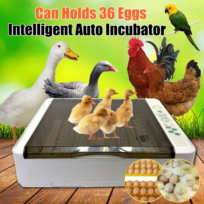 36-Eggs-LCD-Digital-Automatic-Poultry-Incubator-Chicken-Auto-Turning-Hatcher-1710628