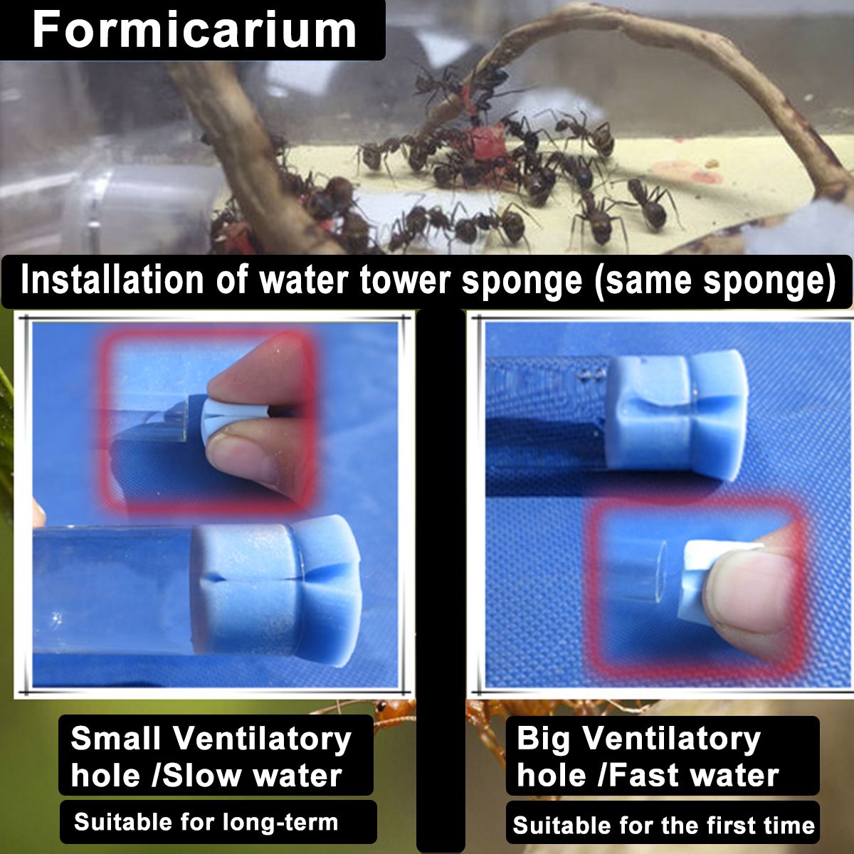 3D-Ant-Farm-Maze-Earth-Nest-Formicarium-Housing-DIY-Ant-Farm-House-Display-Box-For-Ant-Colony-1400543