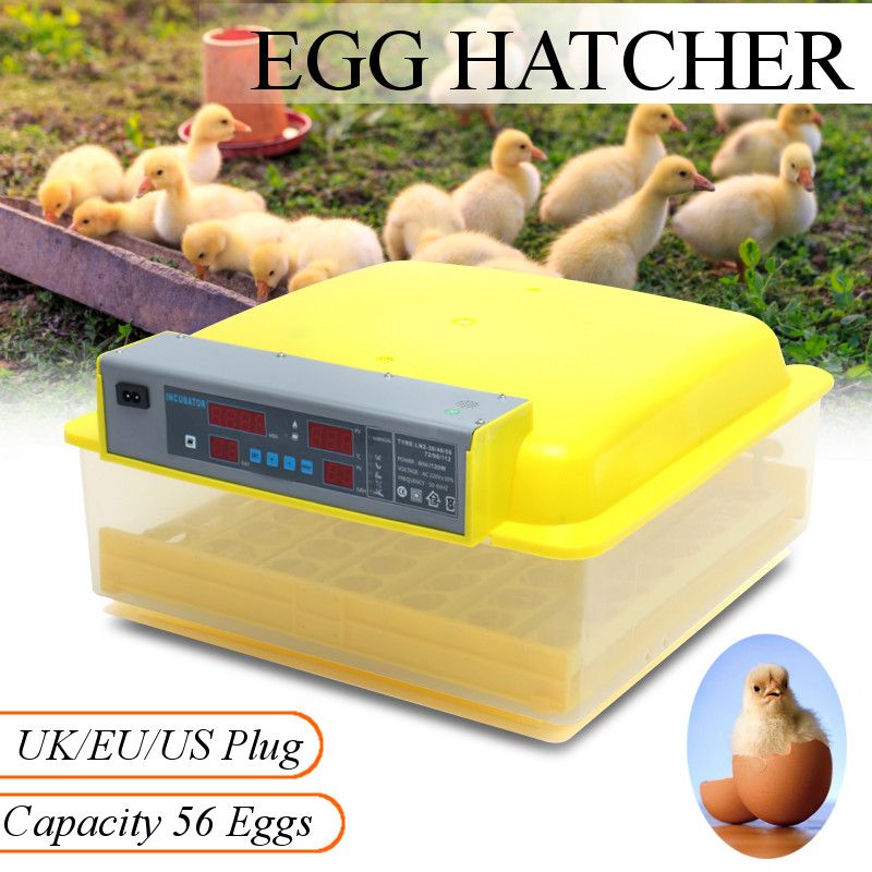 56-Automatic-Egg-Incubator-Digital-Hatching-Poultry-Chicken-Temperature-Control-USEUUK-Plug-1287218