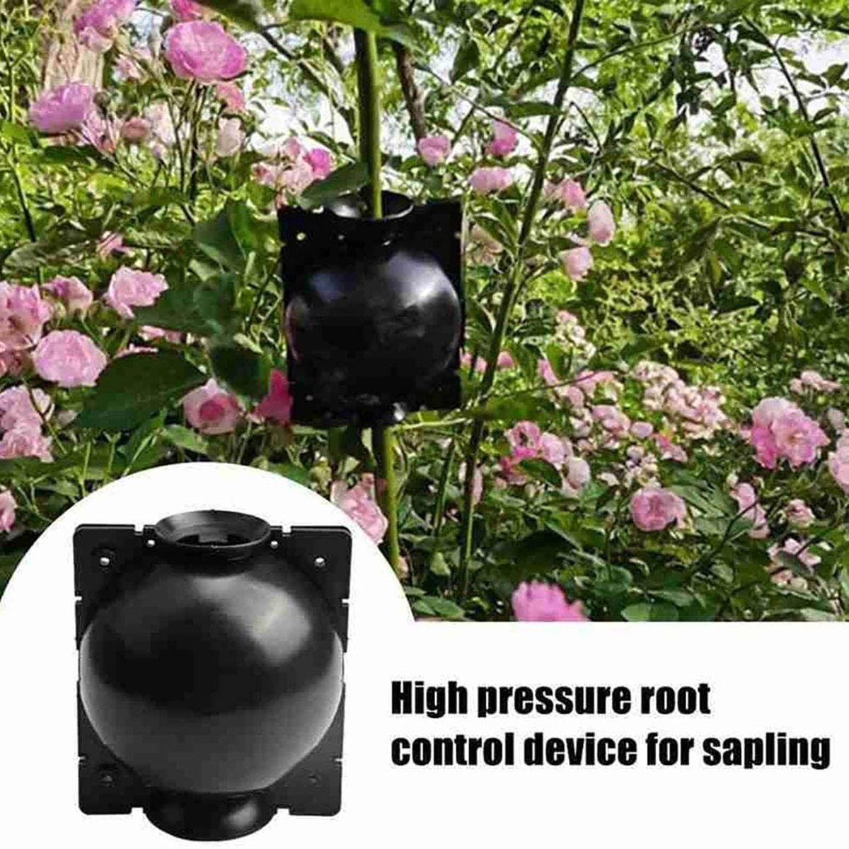 5PCS-Plant-High-Pressure-Propagation-Grafting-Box-Garden-Tree-High--Altitude-Pressure-Propagation-Ba-1729519