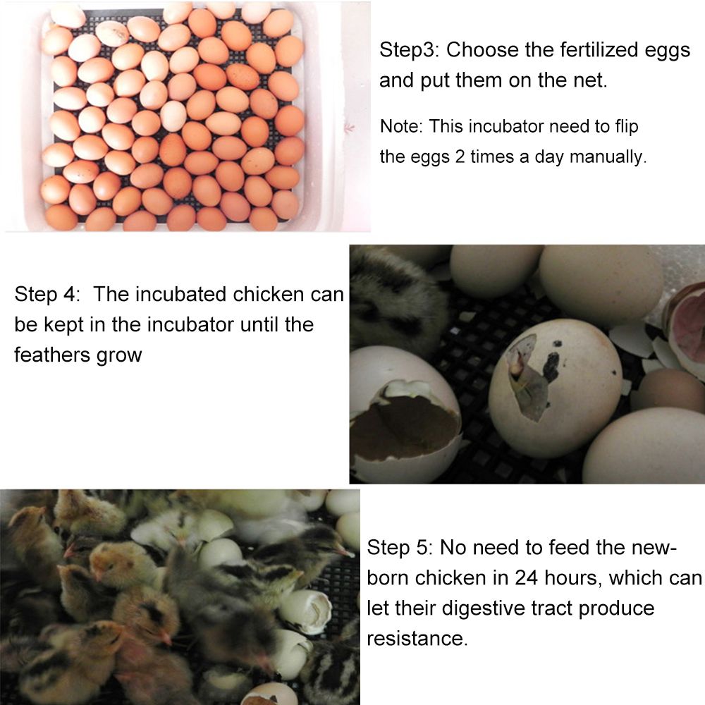 70-Eggs-220V-Digital-Egg-Incubator-Bird-Hatcher-Machine-TemperatureampHumidity-Control-1562833