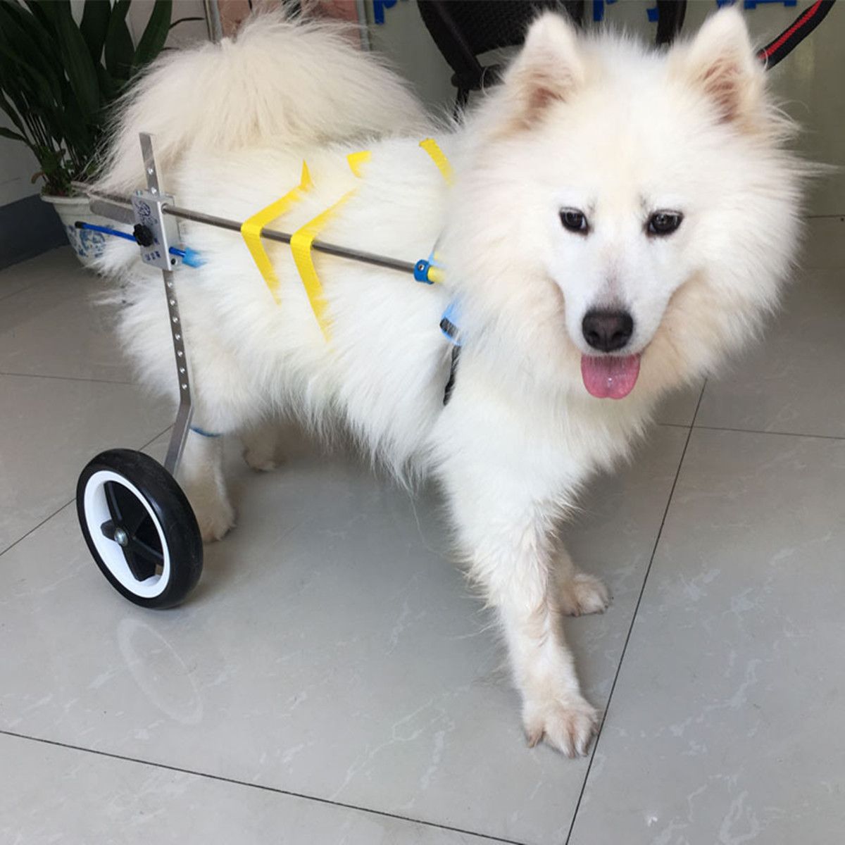 75quot-Aluminium-Pet-Dog-Wheelchair-Walk-Assistant-Tool-Cart-For-Handicapped-Hind-Leg-1570092